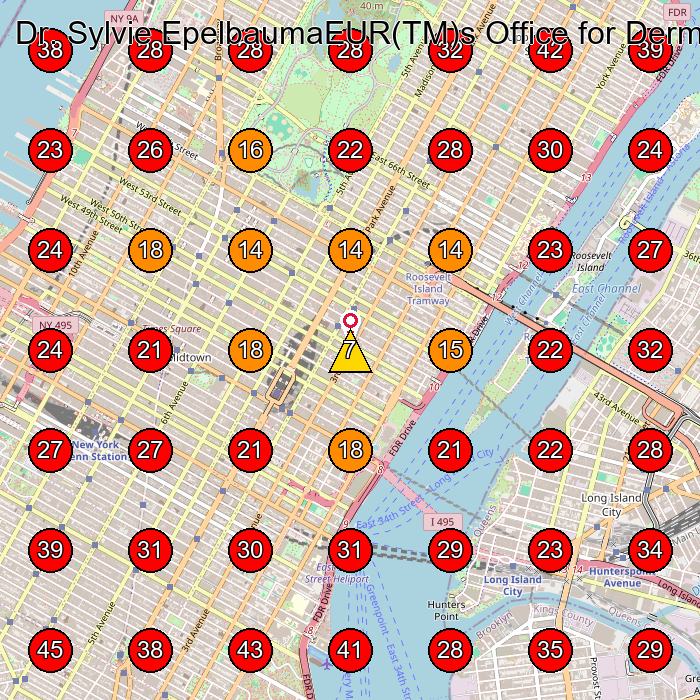 Dr. Sylvie EpelbaumaEUR(TM)s Office for Dermatology and Dermatologic Surgery GeoGrid visibility map for Skin Care Clinic in New York